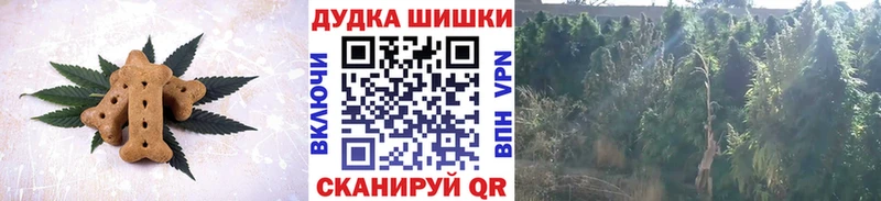 omg рабочий сайт  Юхнов  Cannafood марихуана 