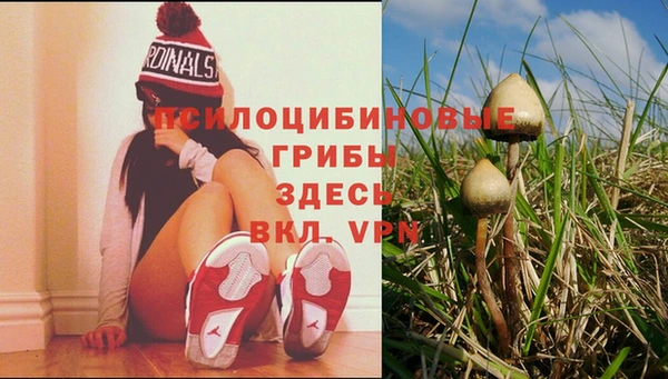мдма Володарск